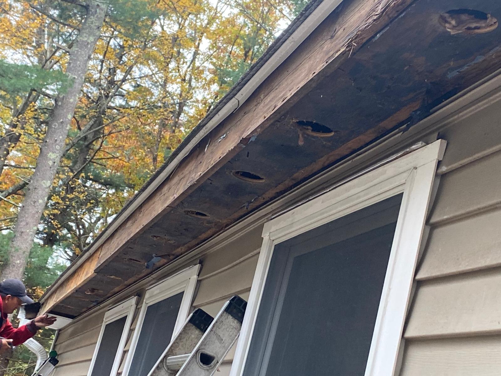 Gutter Replacement in Sharon MA