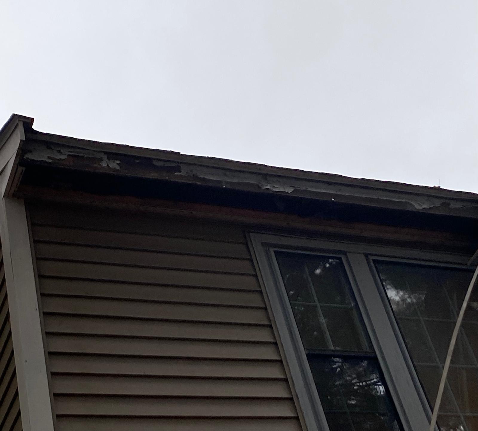 Gutter Replacement in Sharon MA